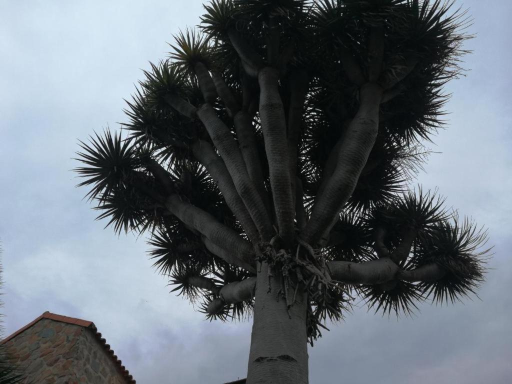 Casa El Drago-Tafira Baja Las Palmas de Gran Canária Exterior foto