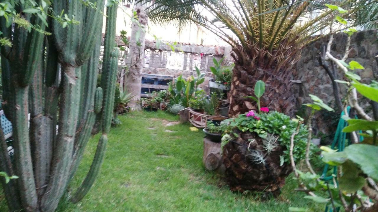 Casa El Drago-Tafira Baja Las Palmas de Gran Canária Exterior foto