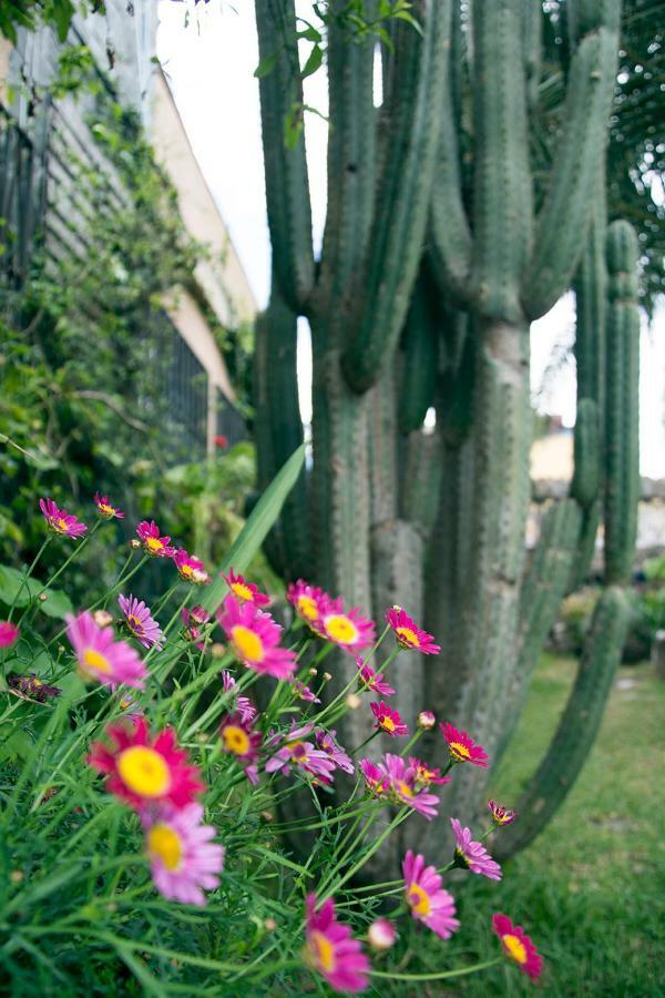 Casa El Drago-Tafira Baja Las Palmas de Gran Canária Exterior foto