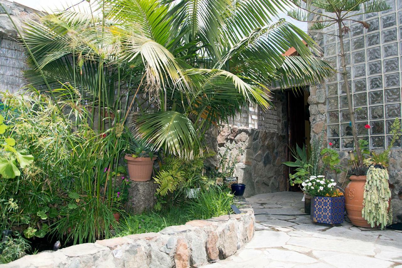 Casa El Drago-Tafira Baja Las Palmas de Gran Canária Exterior foto